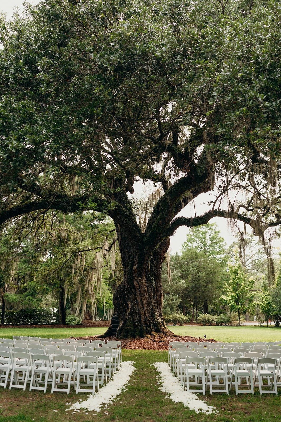 Charleston Wedding Planner