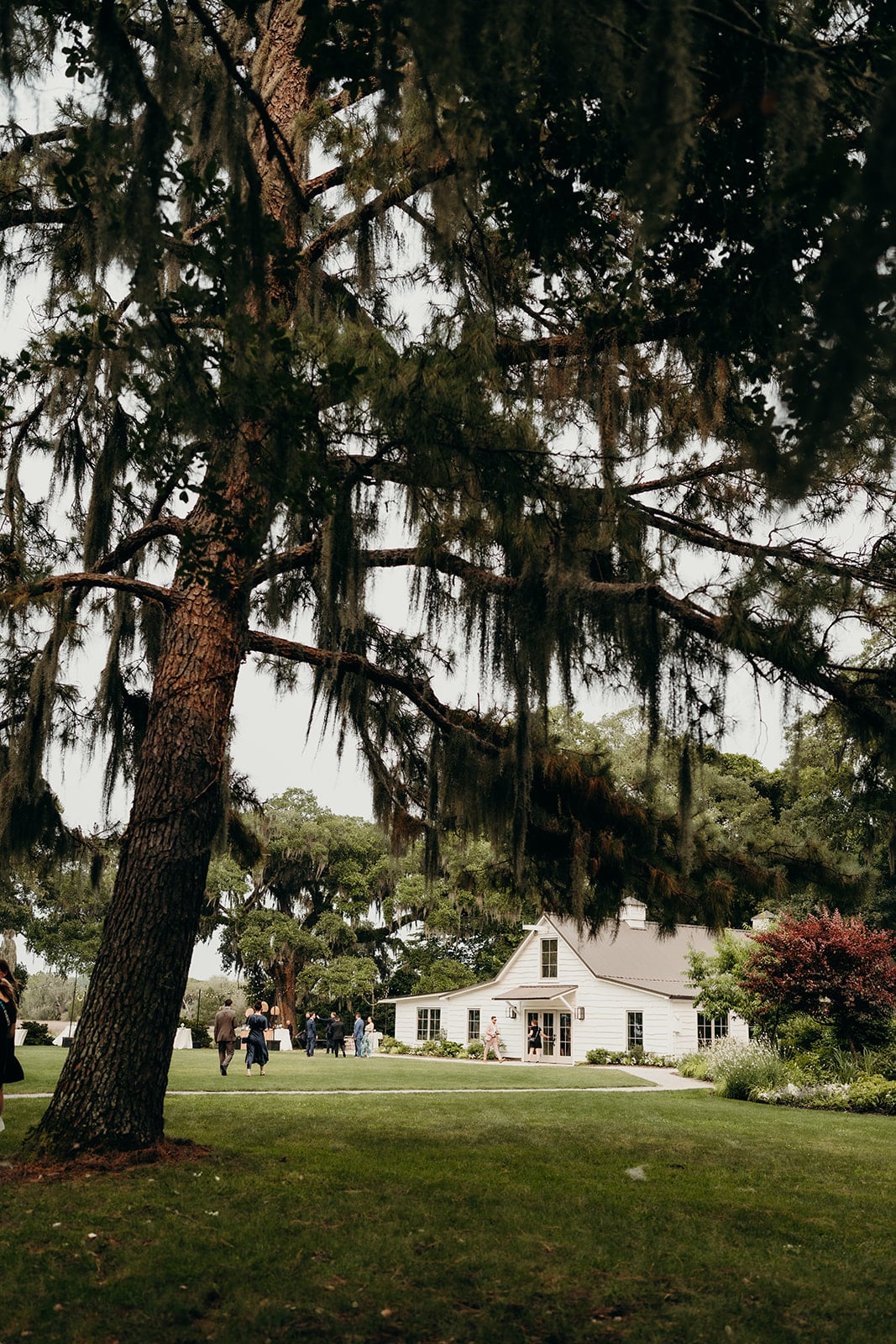 Charleston Wedding Planner