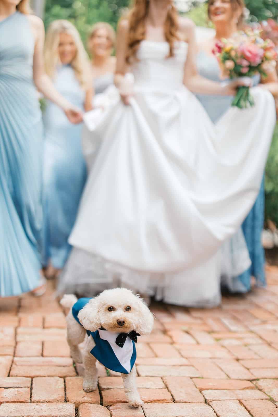 Atlanta Wedding Planner