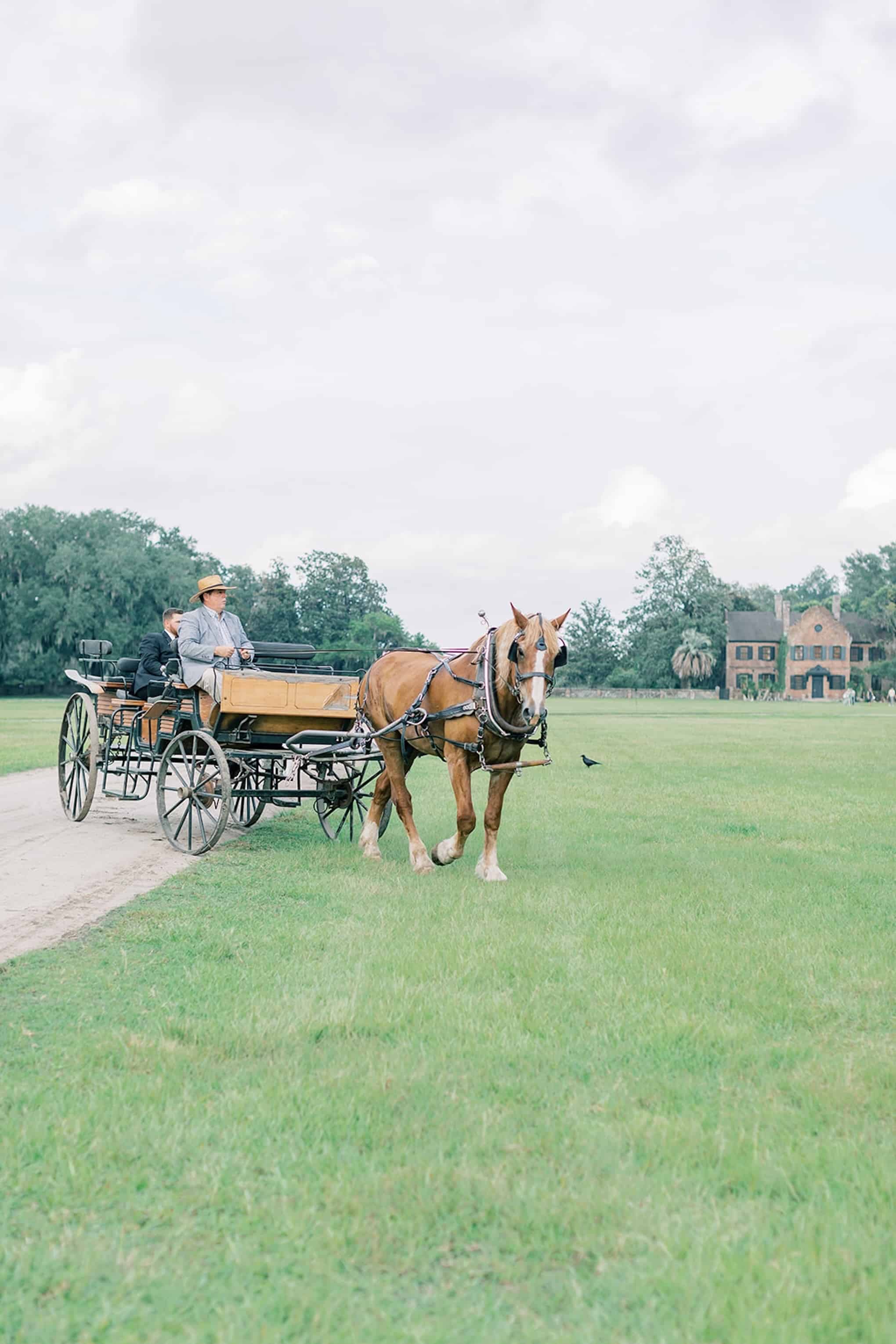 Taylor Swift Wedding Ideas