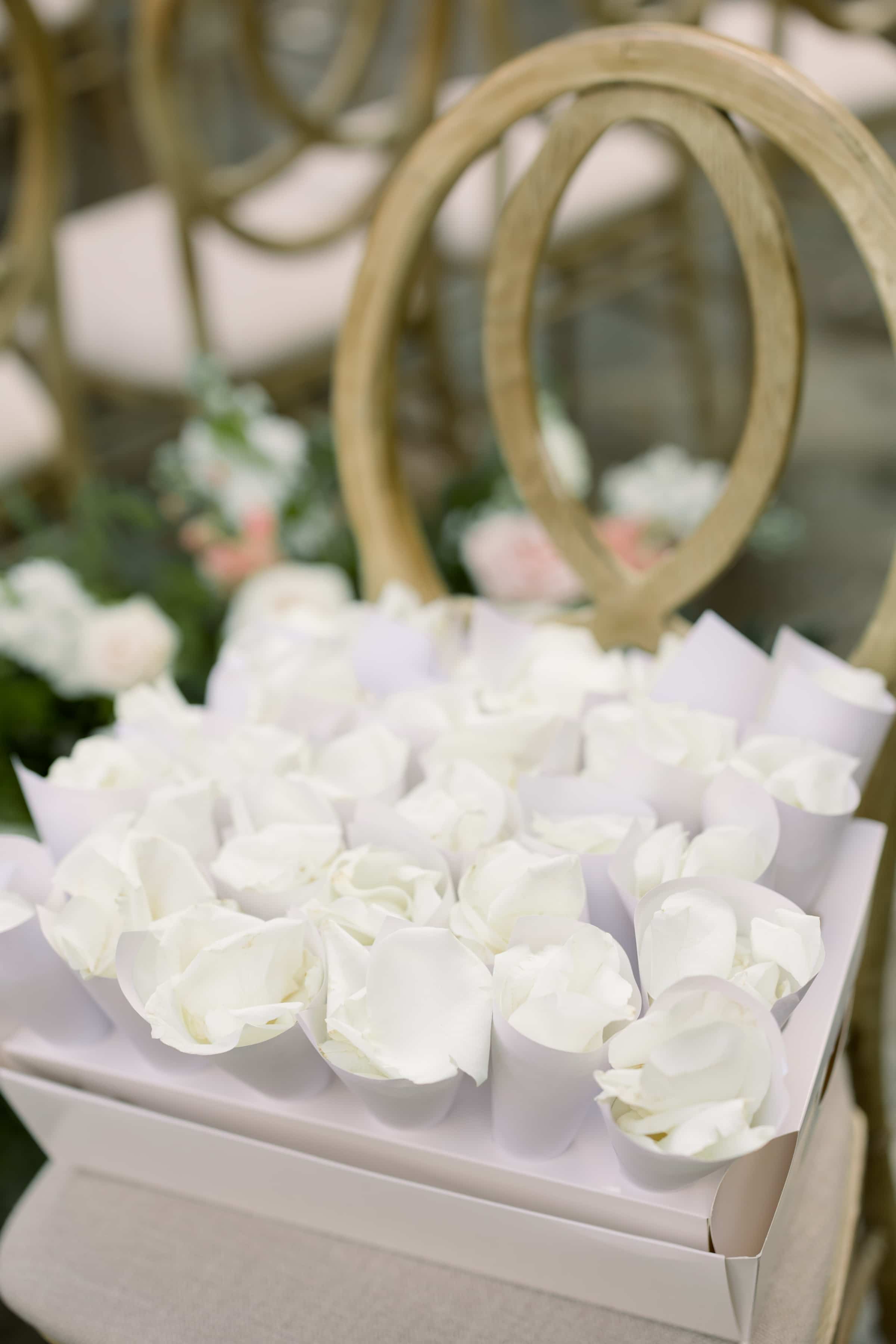 Charleston Wedding Planners -
Luxury Wedding Planners in Charleston, SC