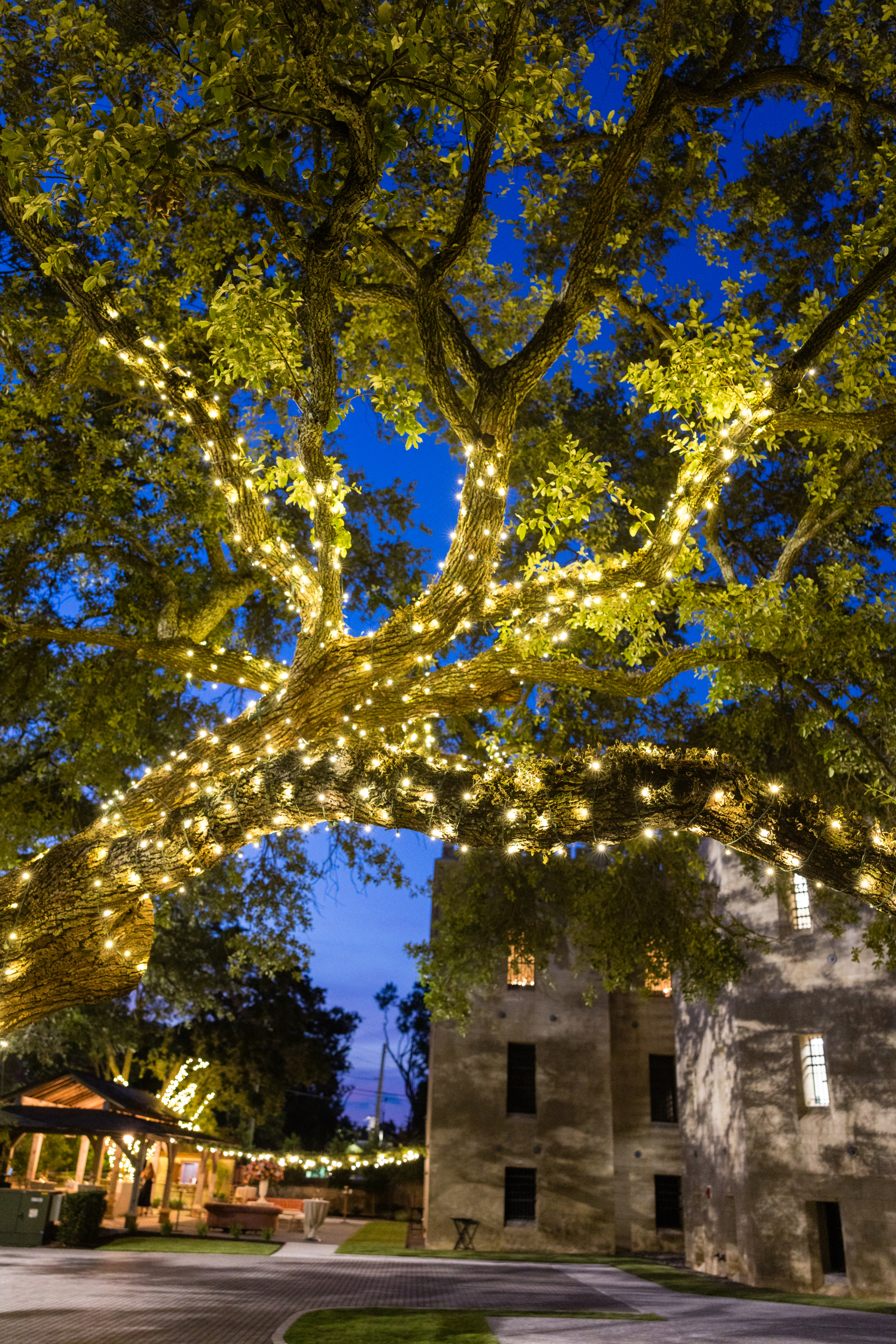 Charleston Wedding Planners -
Luxury Wedding Planners in Charleston, SC 