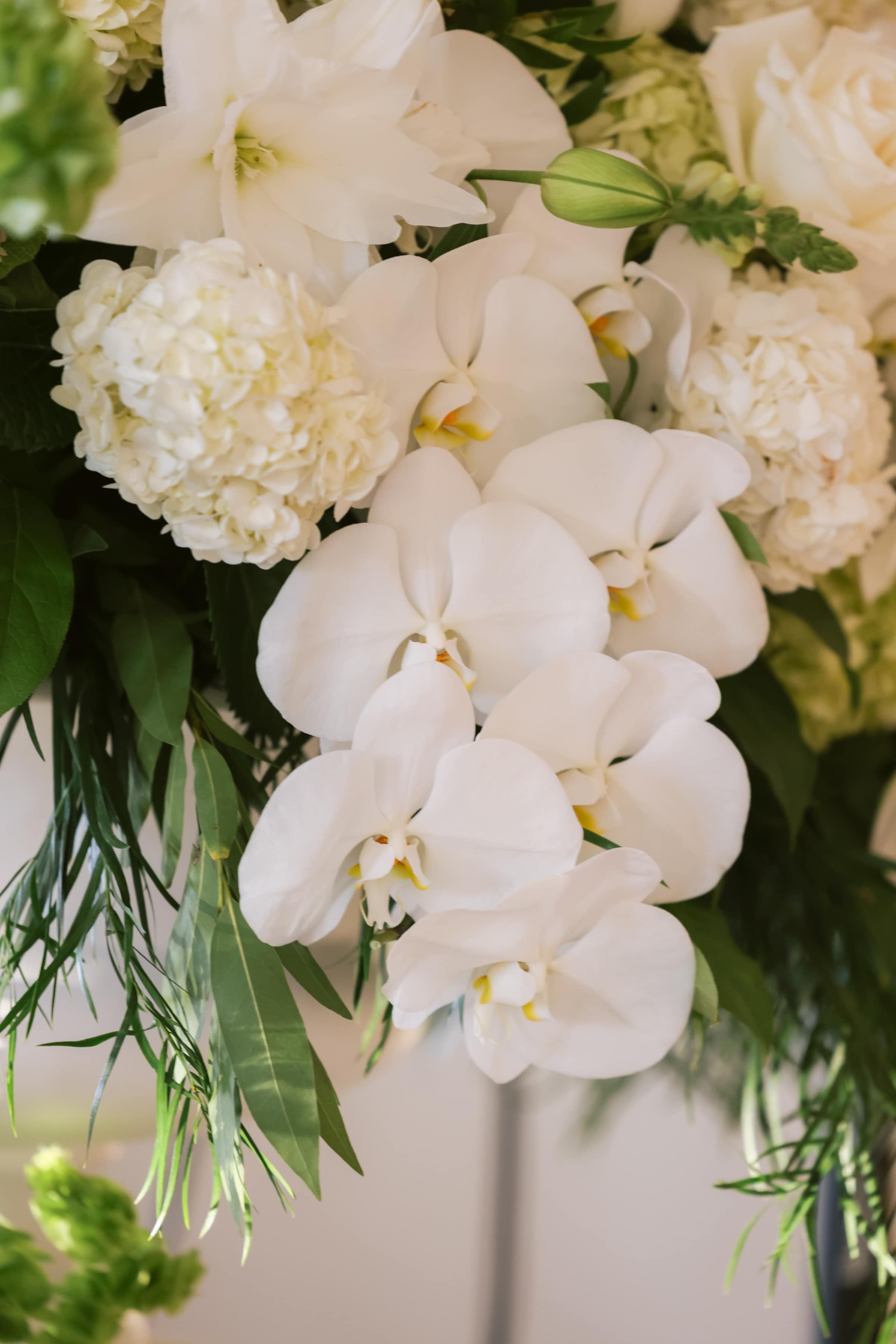 Myrtle Beach Wedding Planners - Luxury Wedding Planners in Myrtle Beach, SC