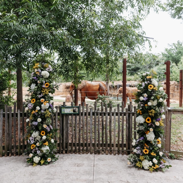 Marissa & Aaron {5.31.26}