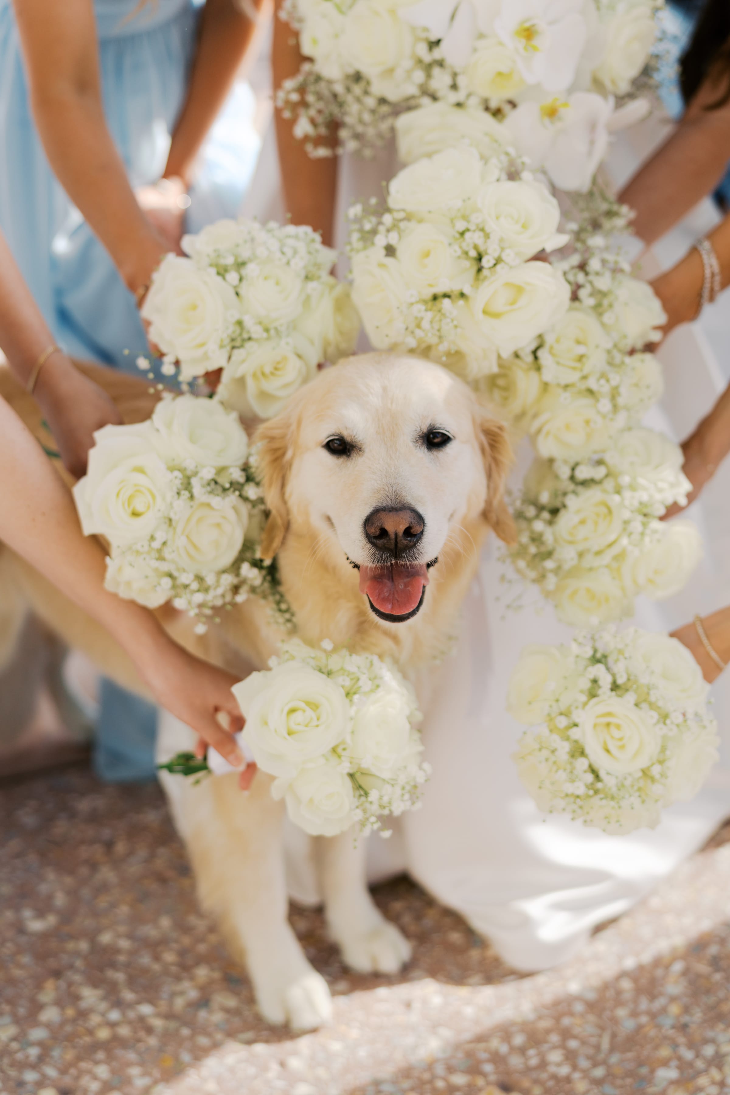 Palm Beach Wedding Planners - Luxury Wedding Planners in Palm Beach, FL