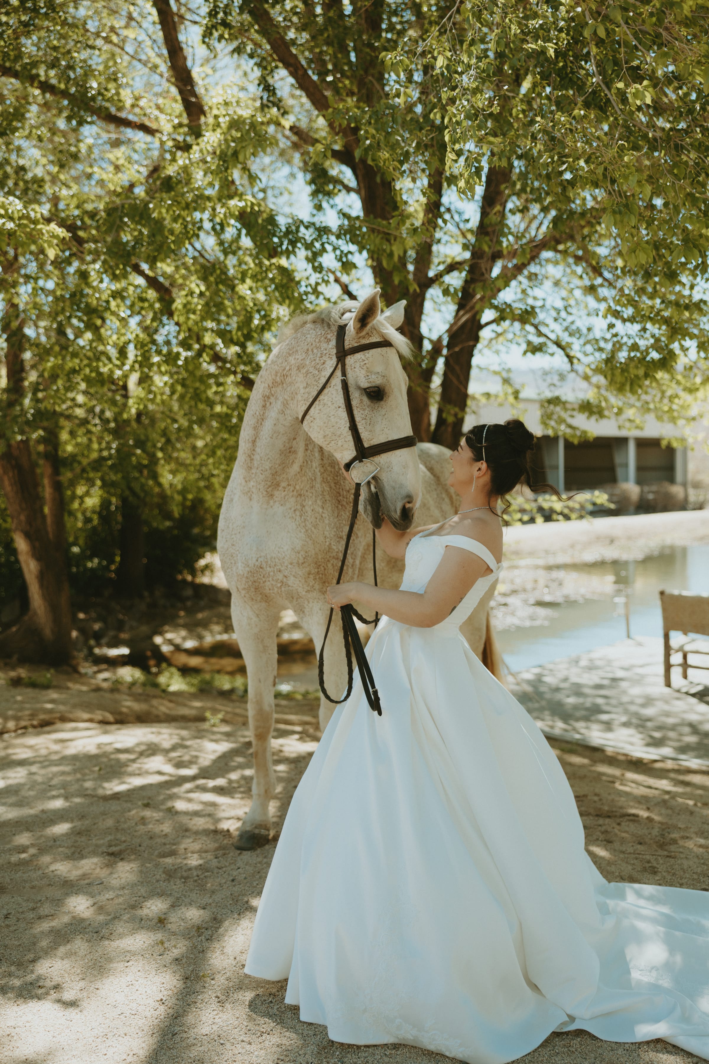 Reno Wedding Planners -
Luxury Wedding Planners in Reno,NV