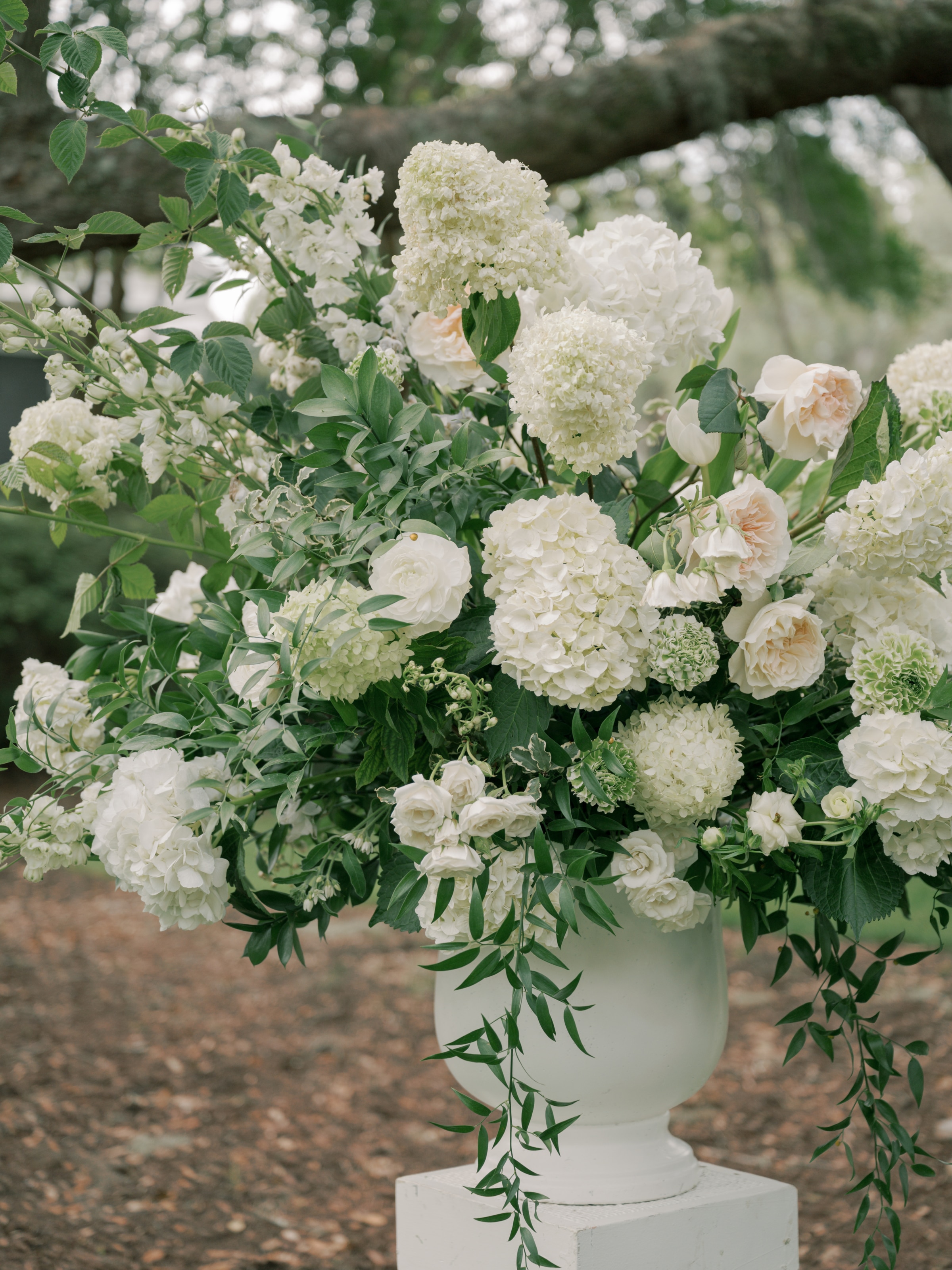 Charleston Wedding Planners -
Luxury Wedding Planners in Charleston, SC
