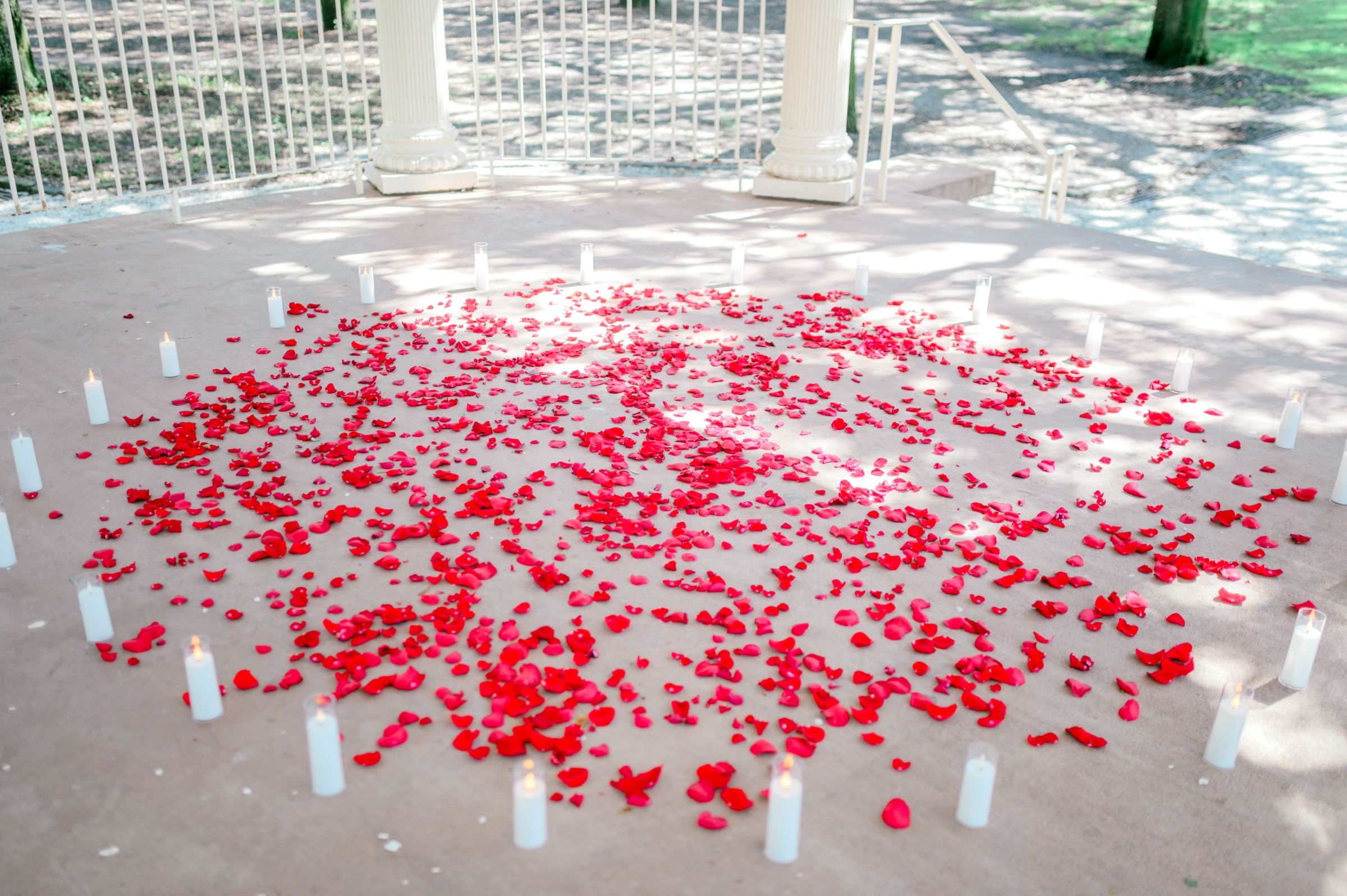 Charleston Wedding Planners -
Luxury Wedding Planners in Charleston, SC