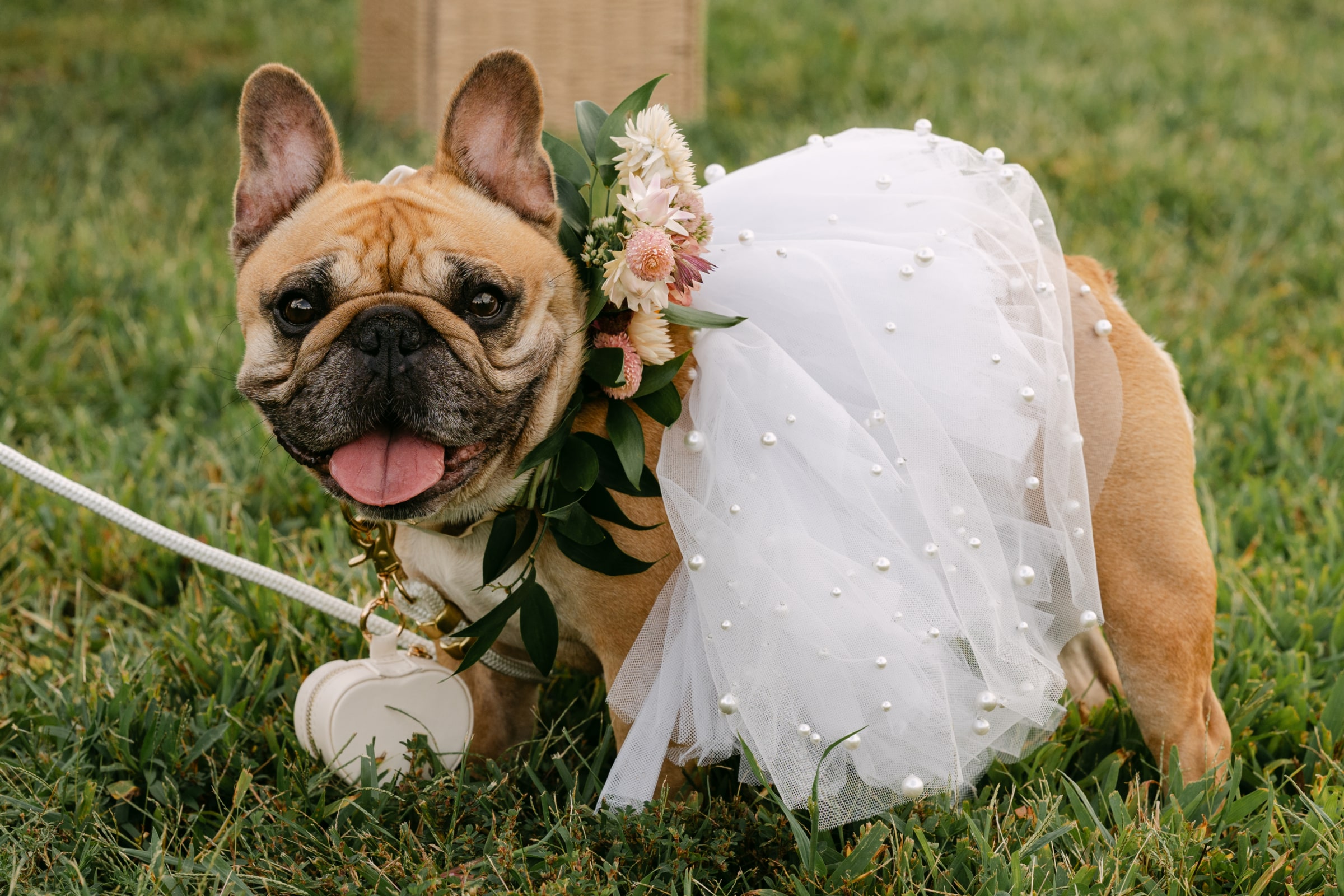 Cincinnati Wedding Planners -
Luxury Wedding Planners in Cincinnati, OH
