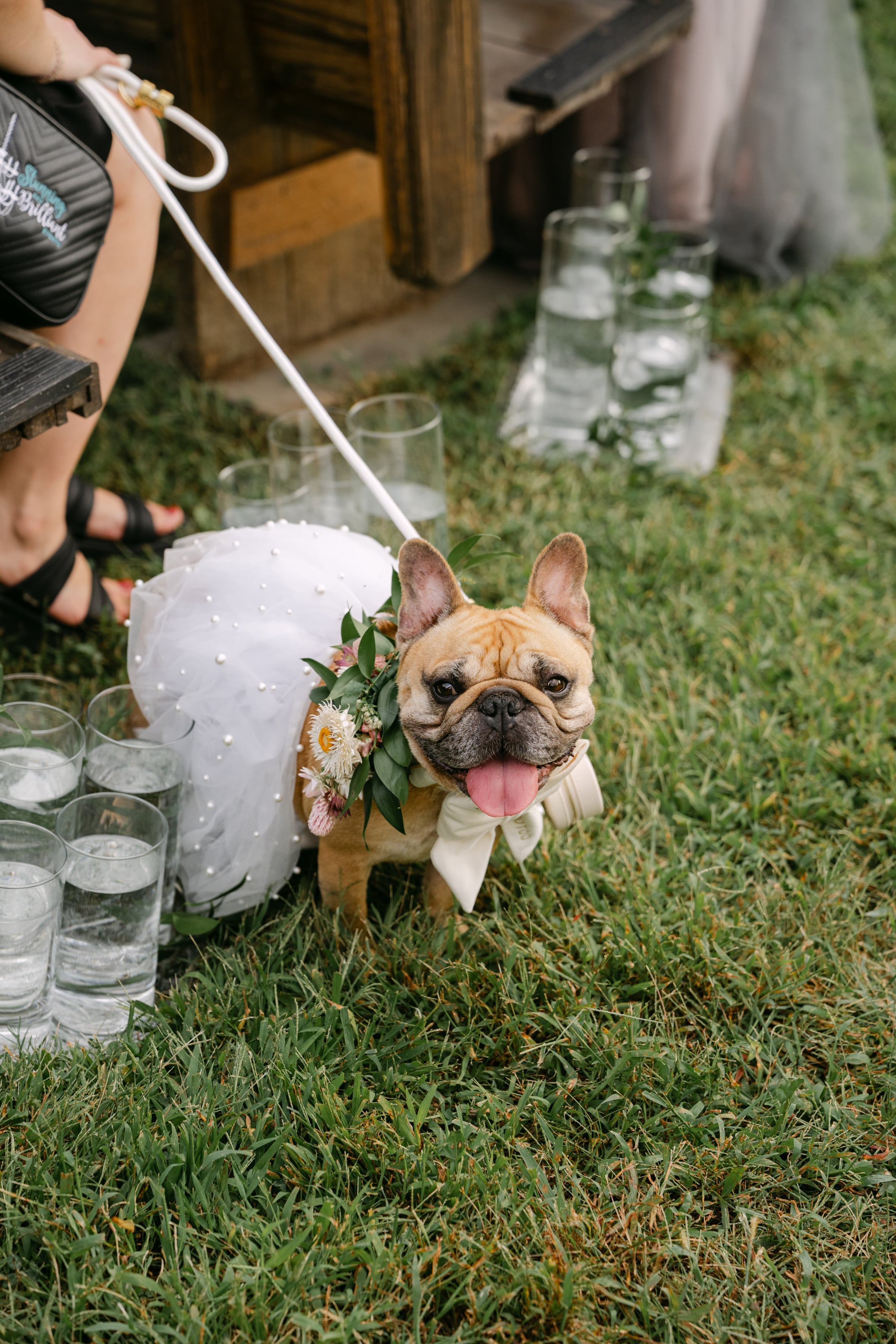 Cincinnati Wedding Planners -
Luxury Wedding Planners in Cincinnati, OH