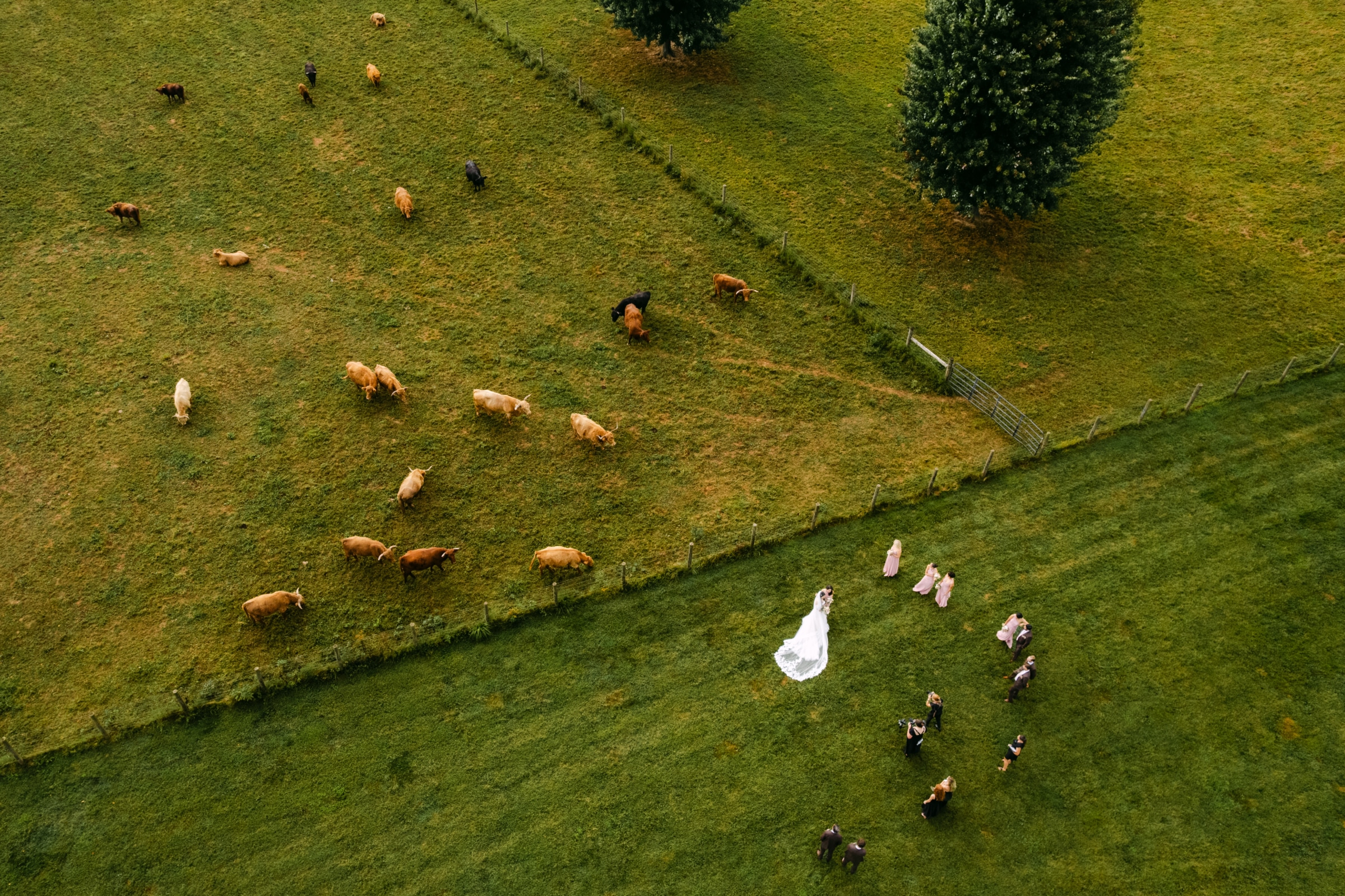 Cincinnati Wedding Planners -
Luxury Wedding Planners in Cincinnati, OH
