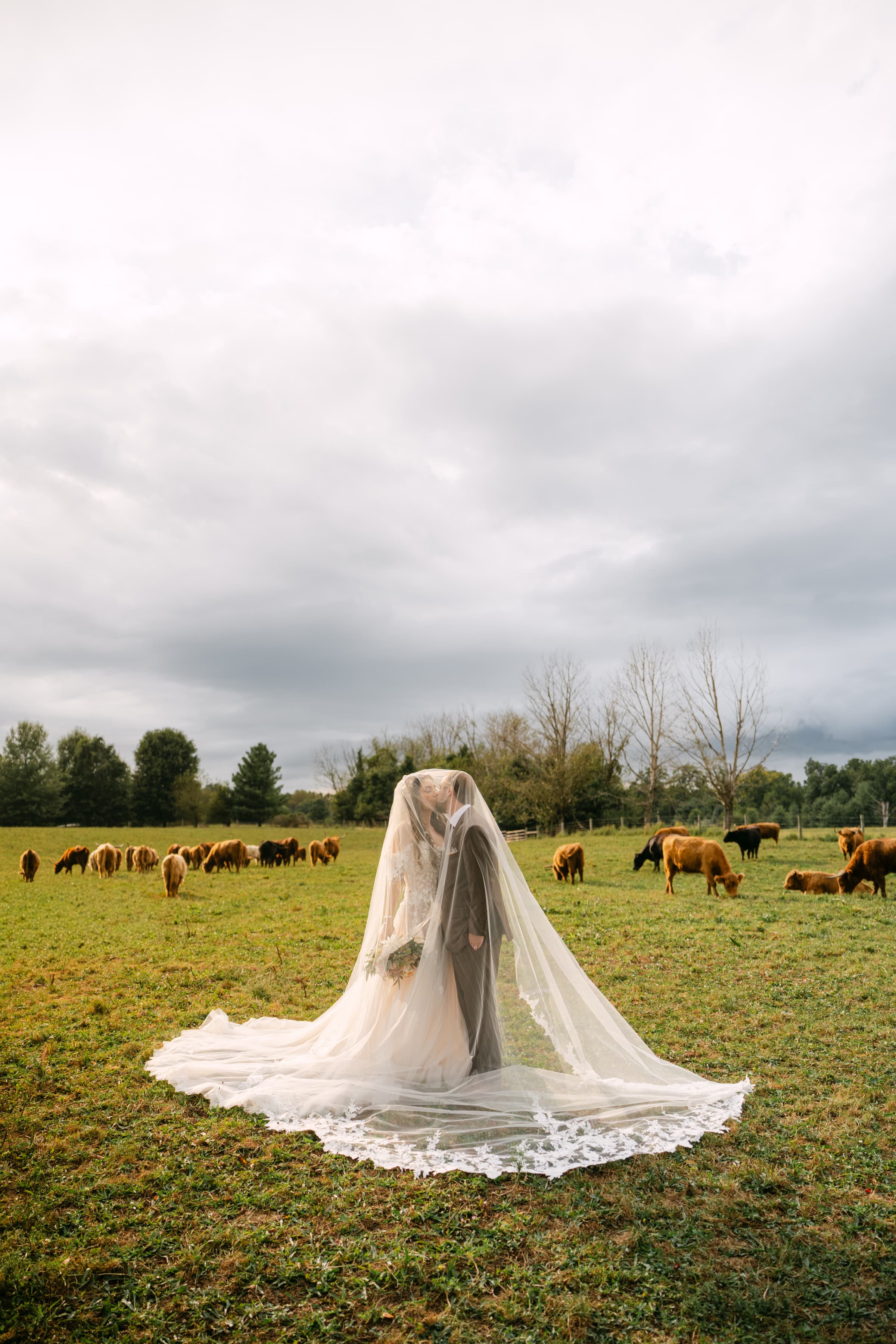 Cincinnati Wedding Planners -
Luxury Wedding Planners in Cincinnati, OH