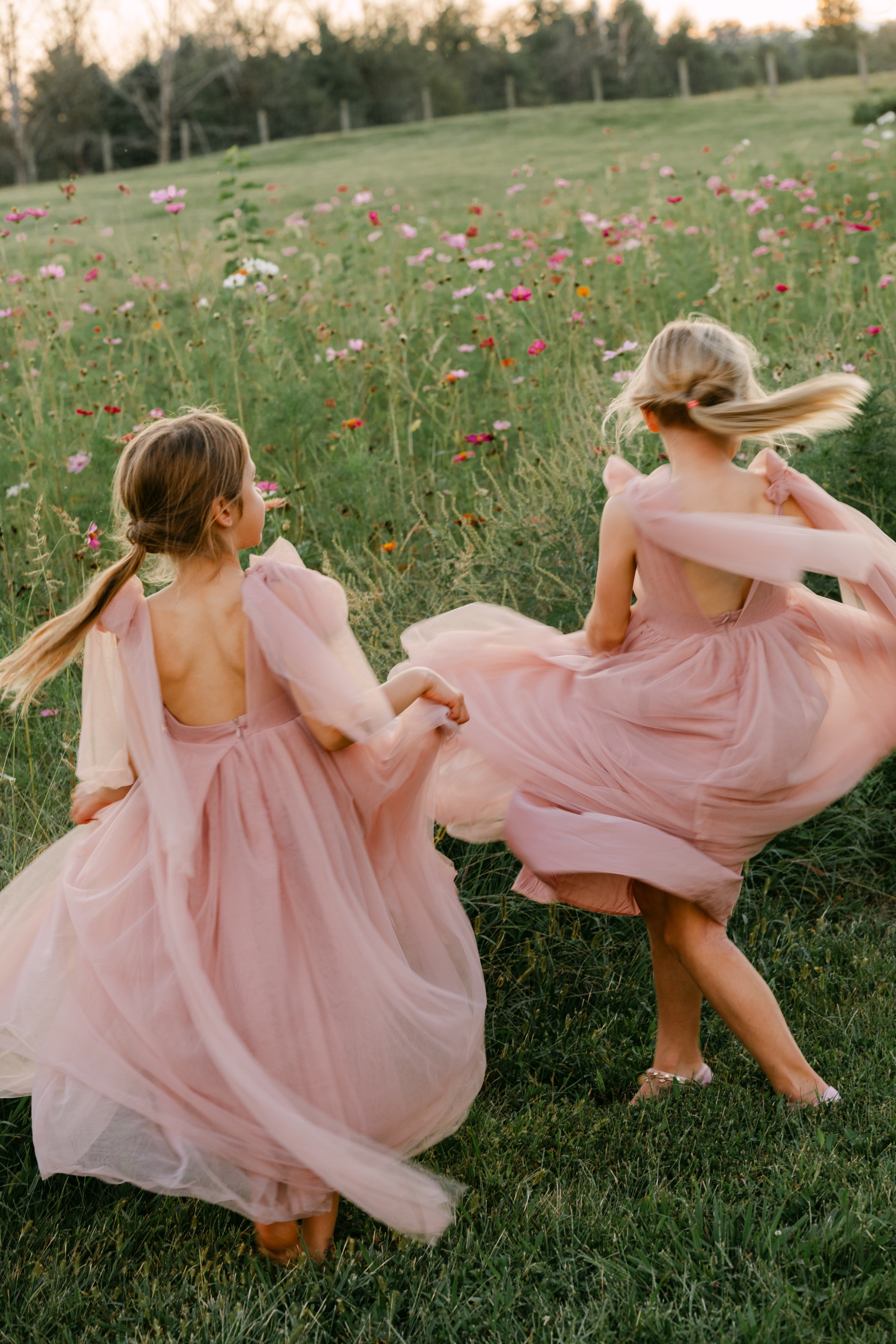 Cincinnati Wedding Planners -
Luxury Wedding Planners in Cincinnati, OH