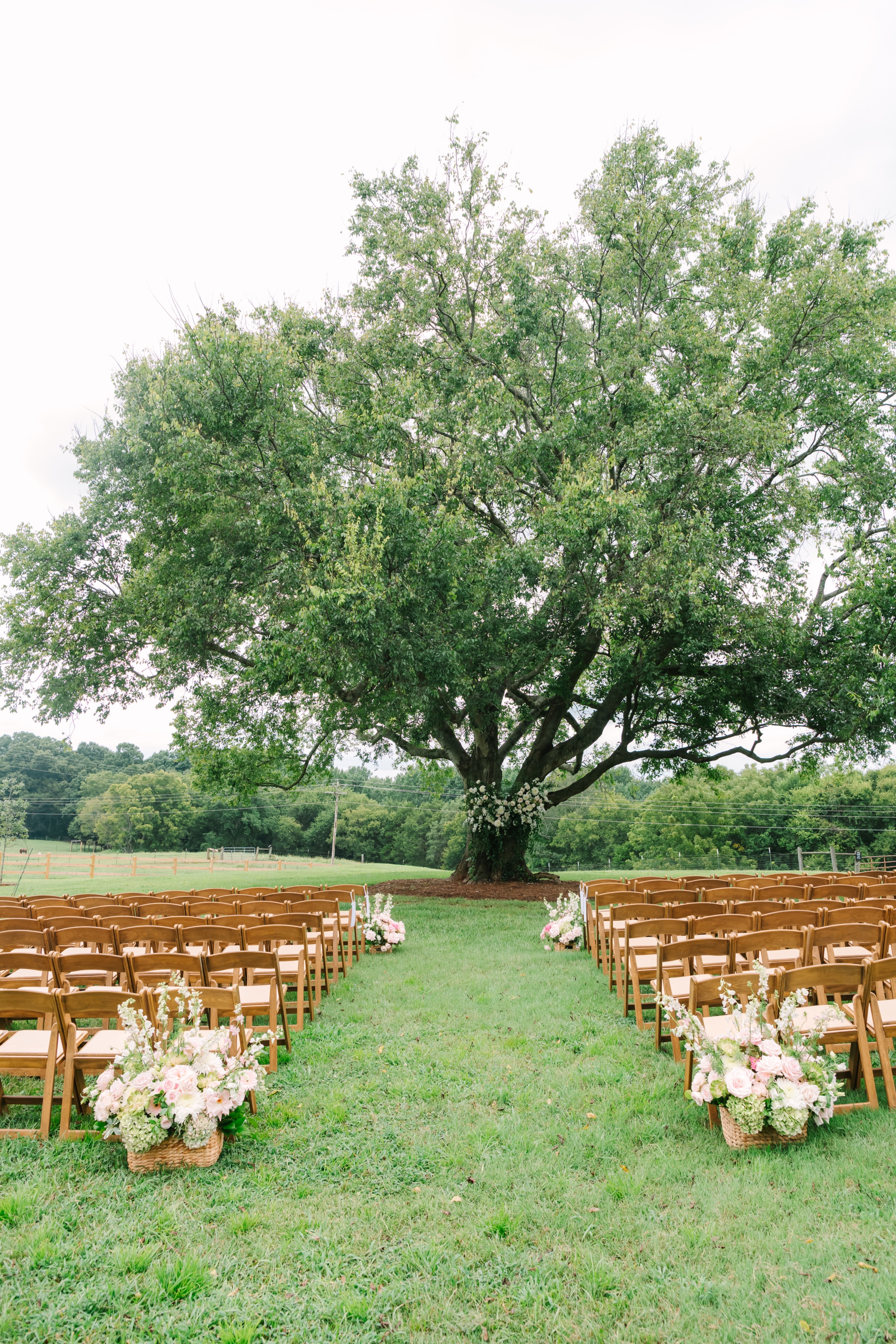 Charleston Wedding Planners -
Luxury Wedding Planners in Charleston, SC