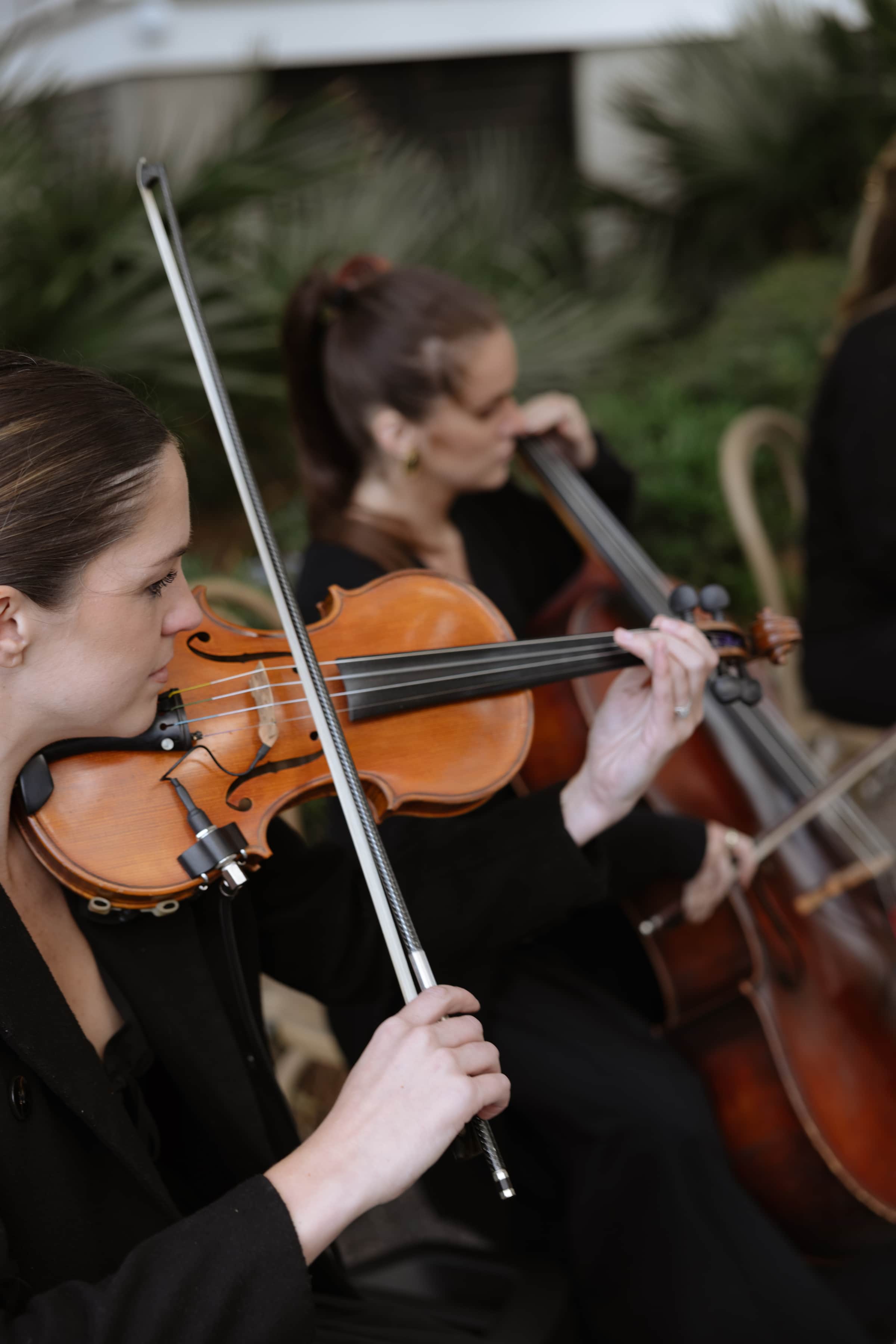 Charleston Wedding Planners -
Luxury Wedding Planners in Charleston, SC
